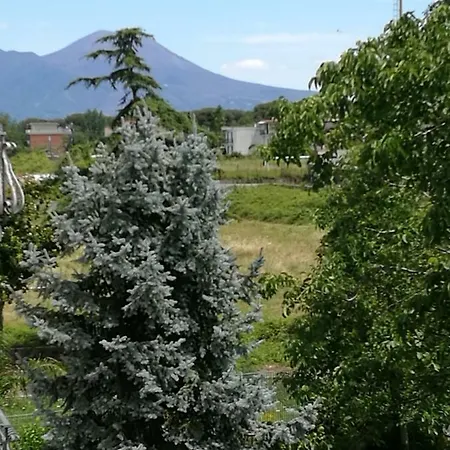 Green House Неаполь