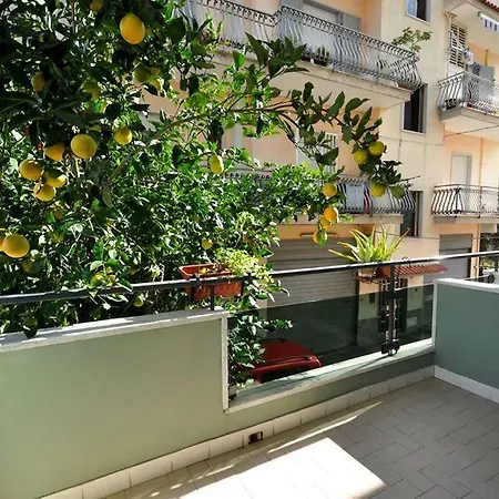 Green House *