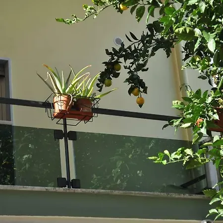 Green House Nápoles